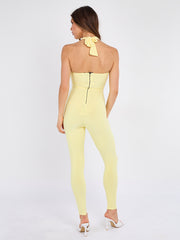 Spring Coil Cut Out Detail Halter Jumpsuit