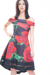 Rose Print Mesh Insert Bardot Skater Dress