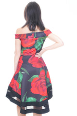 Rose Print Mesh Insert Bardot Skater Dress
