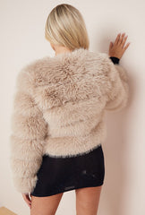 Long Sleeves Faux Fur Jacket