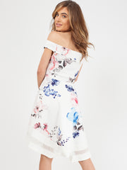 Floral Print Mesh Insert Bardot Skater Dress