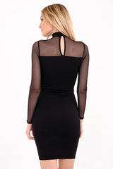 Hook And Eye Fasten Mesh Panelled Dress