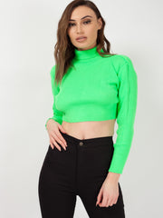 Roll Neck Knitted Cropped Jumper