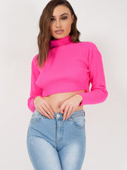 Roll Neck Knitted Cropped Jumper