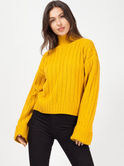 Olivia & Kady Turtle Neck Knitted Jumper