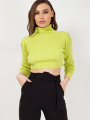 Roll Neck Knitted Cropped Jumper