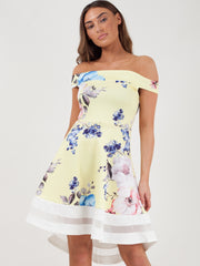 Rose Floral Print Mesh Insert Bardot Skater Dress