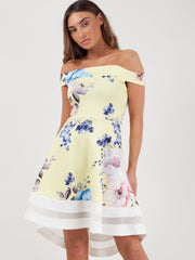 Rose Floral Print Mesh Insert Bardot Skater Dress