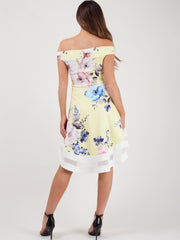 Rose Floral Print Mesh Insert Bardot Skater Dress