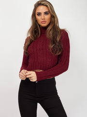 Rosie Roll Neck Cable Knit Cropped Jumper