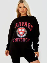 HARVARD Graphic Sweatshirt Jumper
