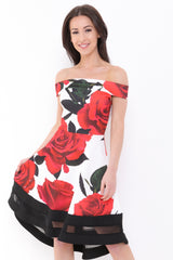 Rose Print Mesh Insert Bardot Skater Dress