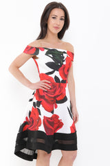 Rose Print Mesh Insert Bardot Skater Dress