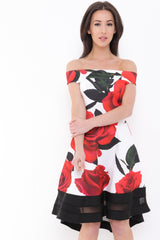 Rose Print Mesh Insert Bardot Skater Dress