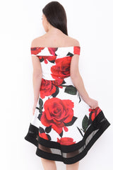 Rose Print Mesh Insert Bardot Skater Dress