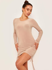 Slinky Long Sleeve Ruched Dress