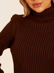 Ribbed Knitted Roll Neck Bodycon Dress