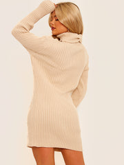 Ribbed Knitted Roll Neck Bodycon Dress